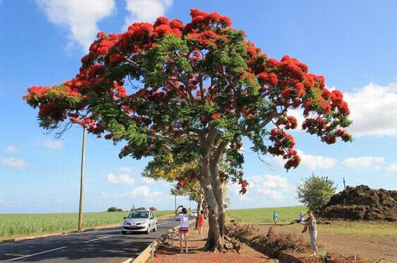 ��֦���л�/����