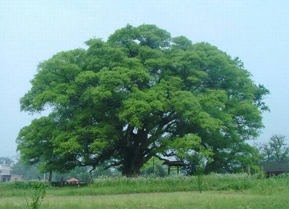 �����л�/����