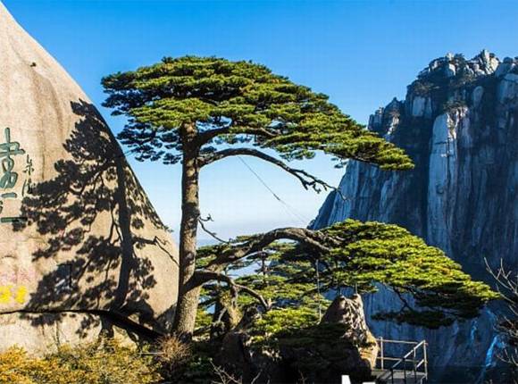 ɽ��ʡʡ��/ʡ��/ʡ��