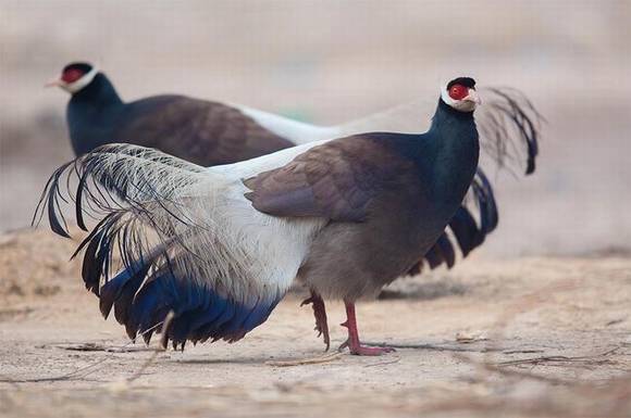 ɽ��ʡʡ��/ʡ��/ʡ��