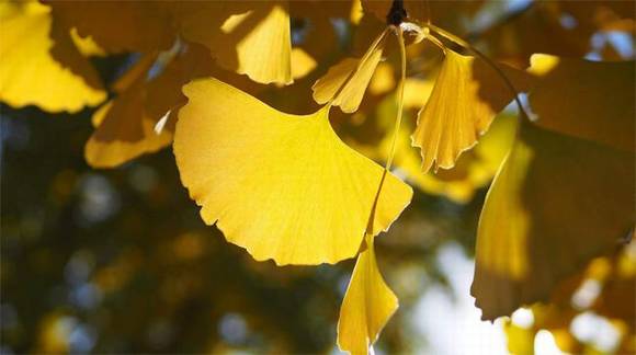 ����ʡʡ��/ʡ��/ʡ��