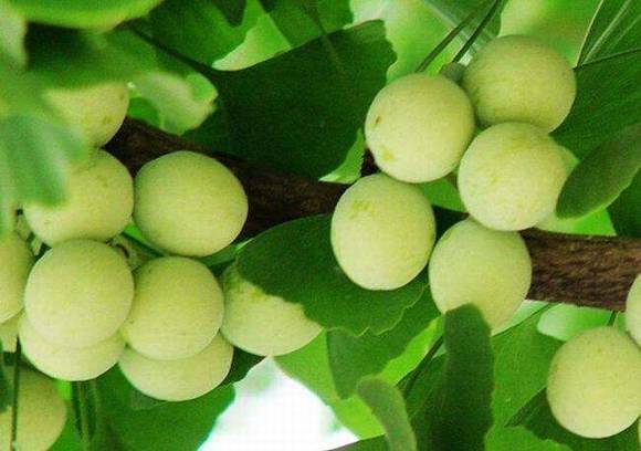 ����ʡʡ��/ʡ��/ʡ��