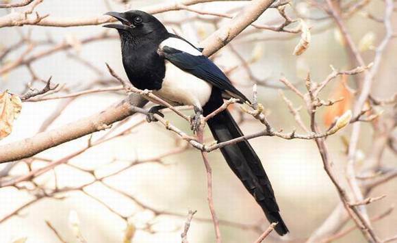 ����ʡʡ��/ʡ��/ʡ��