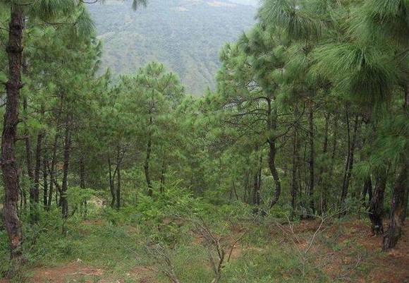 ����ʡʡ��/ʡ��