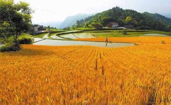 ����ʮ����ɽ���������������ϰ��