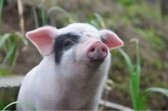 �ٲ������ı�