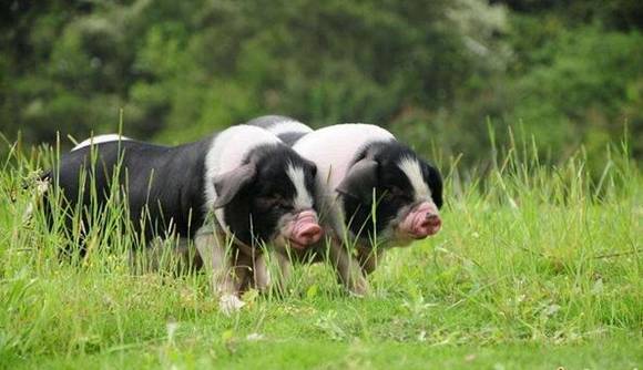 �ٲ������ı�