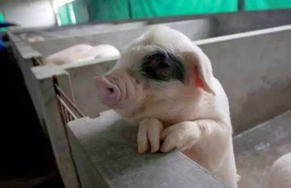 �ٲ������ı�