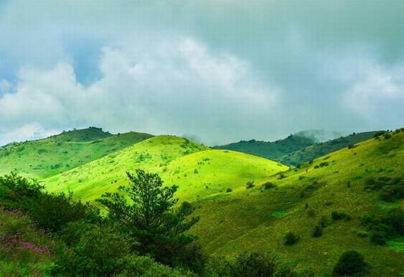 �ǿ�����������Ļ�