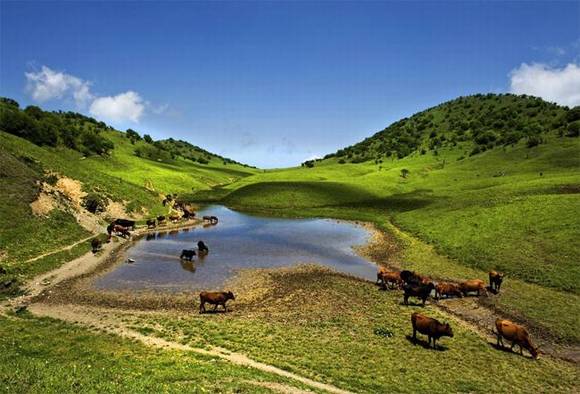 �ǿ�����������Ļ�