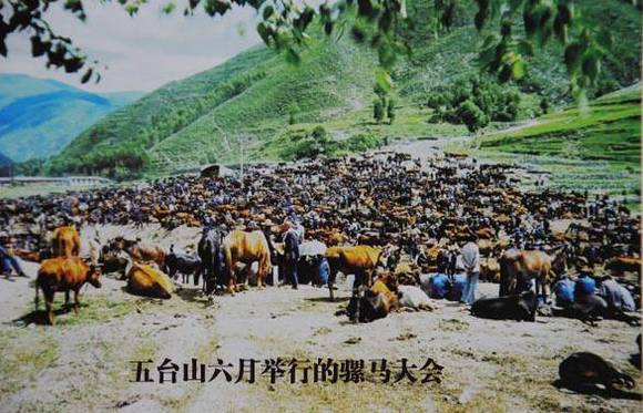 ��̨ɽ���׷���