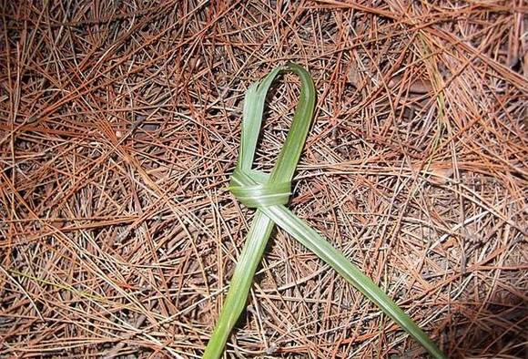 ��������ϰ��