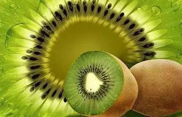 蒸酒技术之奇异果酒制作技术