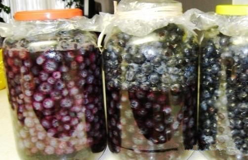 烤酒技术之家庭蓝莓酒自酿方法过程