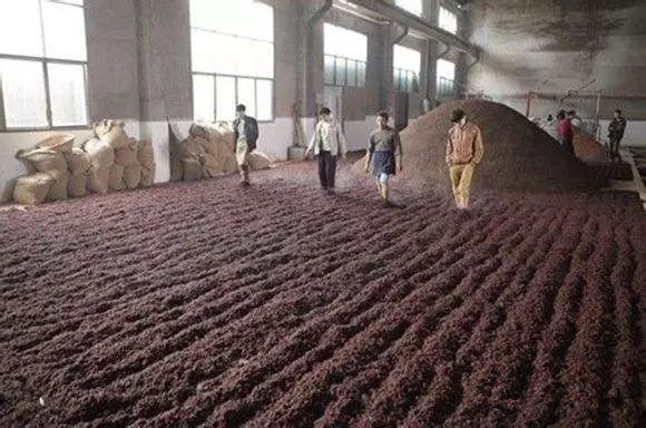 Ϊʲô˵ę́Äð¾Æ¹¤ÒÕÊÇ×îÌØÊâµÄ¹¤ÒÕ£¿