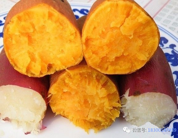 什么粮食酿酒好喝?