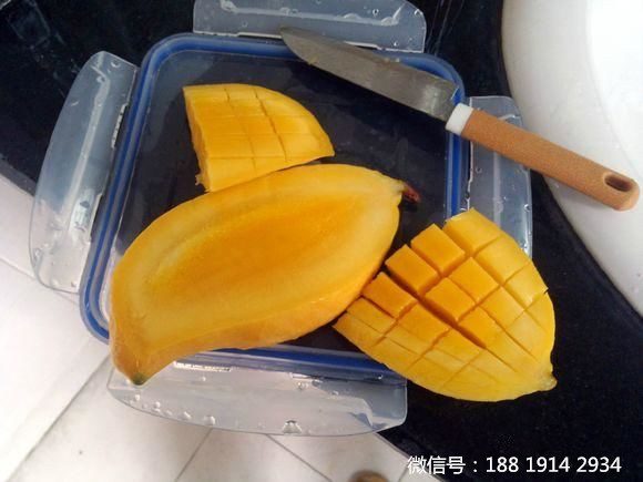 家庭家庭自酿芒果酒技术