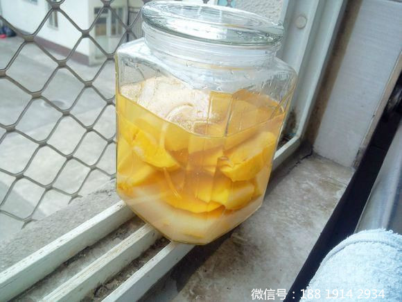 家庭家庭自酿芒果酒技术