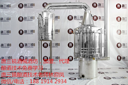 家庭泡药酒技术方法之黑蚂蚁酒制作工艺