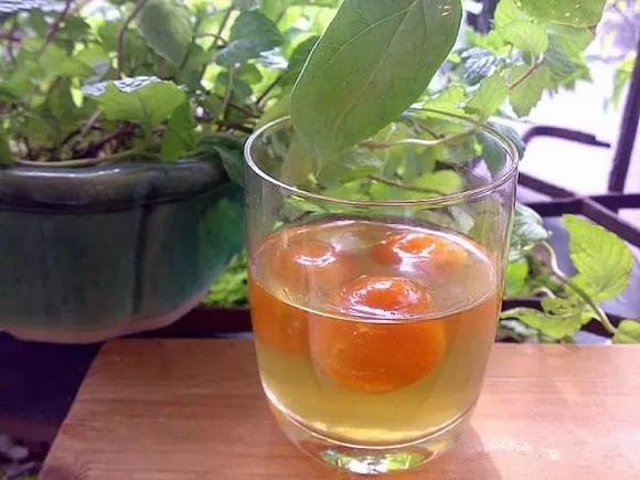 酿酒师教你自酿金桔酒