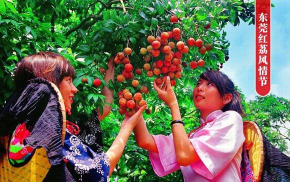 �㶫��ݸ��������