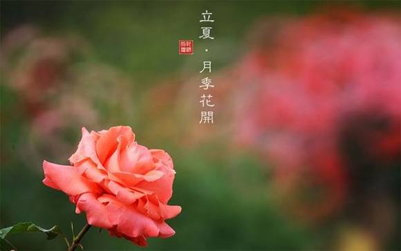 ����ϰ��