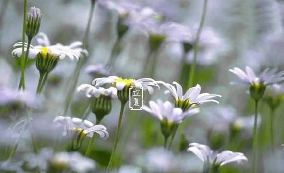 ��������ϰ��