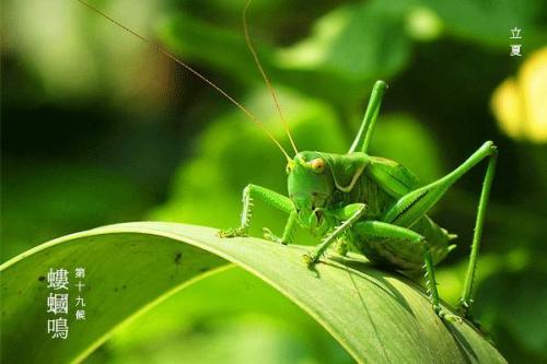 ��������ϰ��