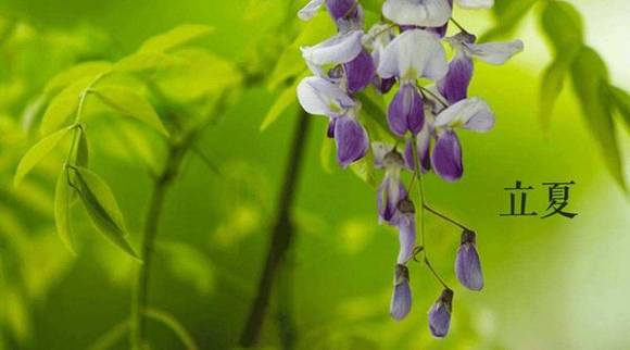 ��������ϰ��