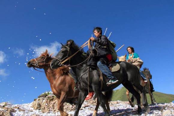 ���ϲ����Ĳ彣��