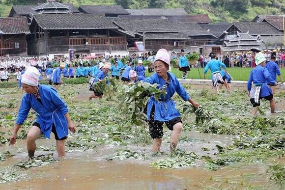 ������ƽ��կ�������Ž�