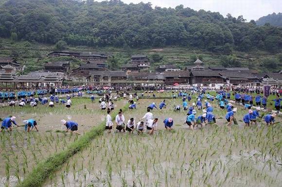 ������ƽ��կ�������Ž�