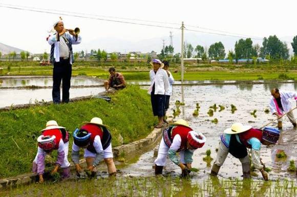 �������塰�����ᡱ