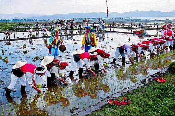 �������塰�����ᡱ