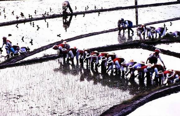 �������塰�����ᡱ