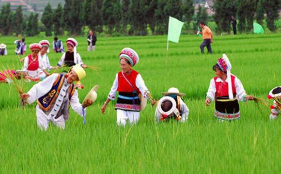 �������塰�����ᡱ