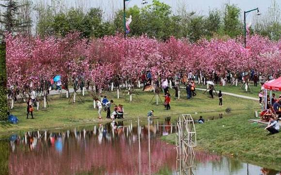 ȫ�������ӻ�������