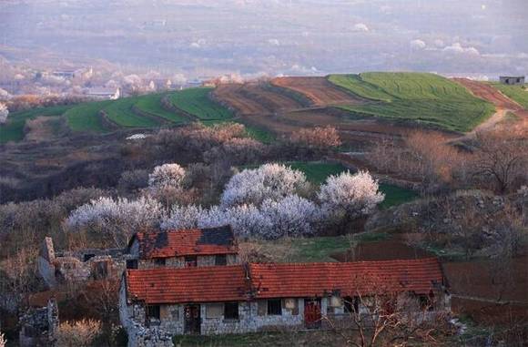 ȫ�������ӻ�������