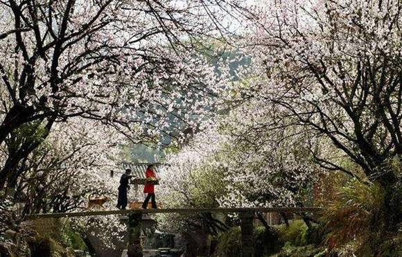 ȫ�������ӻ�������