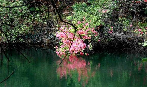 ȫ�������ӻ�������