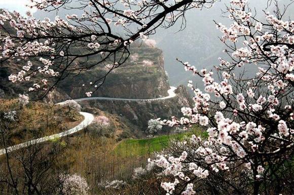 ȫ�������ӻ�������