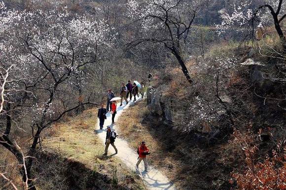 ȫ�������ӻ�������