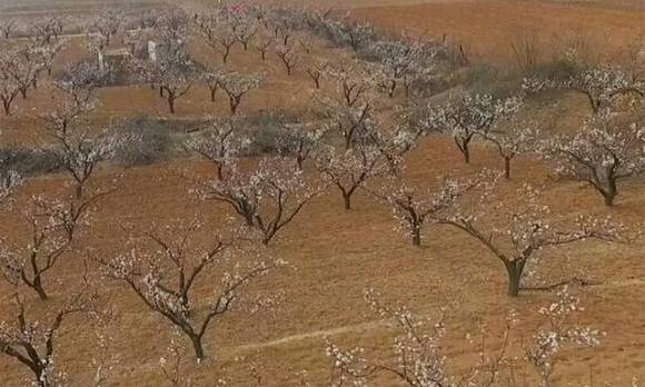 ȫ�������ӻ�������