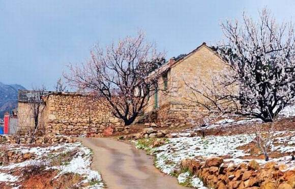 ȫ�������ӻ�������