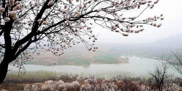 ȫ�������ӻ�������