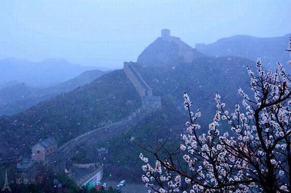 ȫ�������ӻ�������