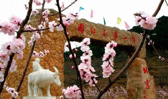 ȫ�������ӻ�������