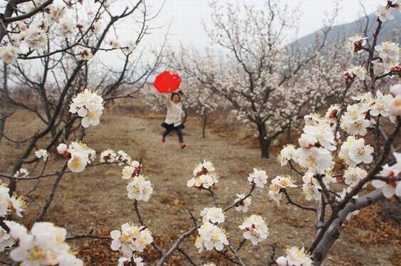 ȫ�������ӻ�������