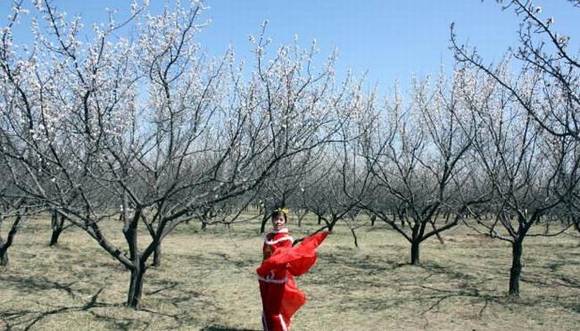 ȫ�������ӻ�������