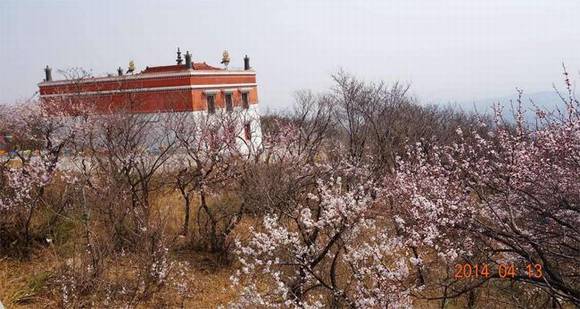 ȫ�������ӻ�������